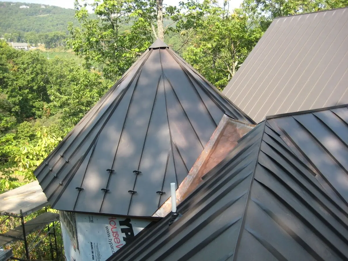 Professional Roof Tarp Installation by Craftsman Roofing in Drybranch